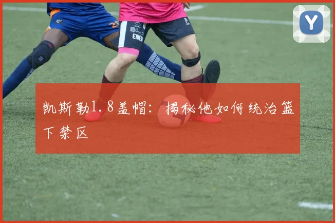 凯斯勒1.8盖帽：揭秘他如何统治篮下禁区