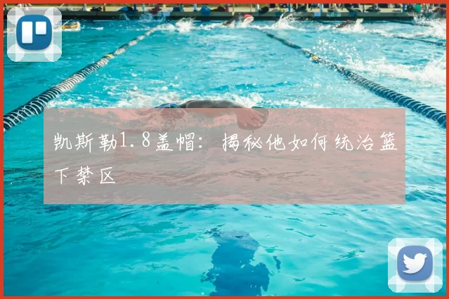 凯斯勒1.8盖帽：揭秘他如何统治篮下禁区